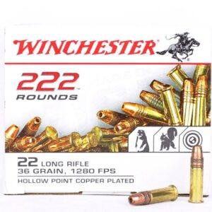 Winchester 22 LR 36 Grain Hollow Point (222)