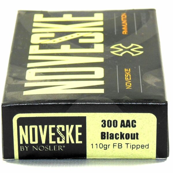 Nosler 300 AAC Blackout 110 Grain Varmageddon (20)